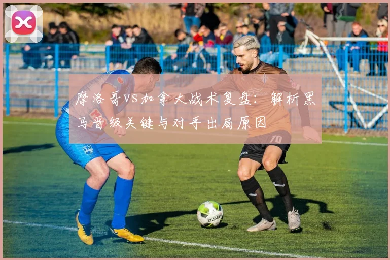 摩洛哥vs加拿大战术复盘:解析黑马晋级关键与对手出局原因