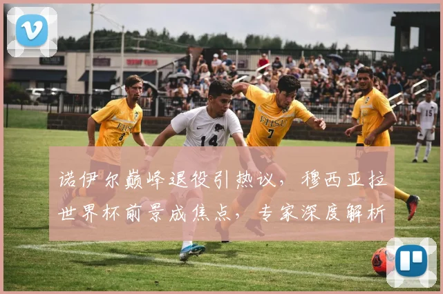 诺伊尔巅峰退役引热议，穆西亚拉世界杯前景成焦点，专家深度解析